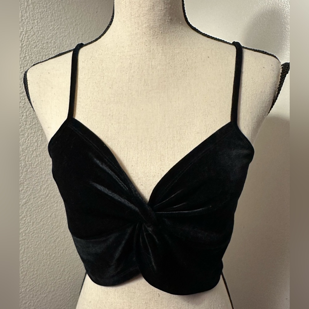 ⭐ Last Chance! Bear Dance Black Velvet Crop Top